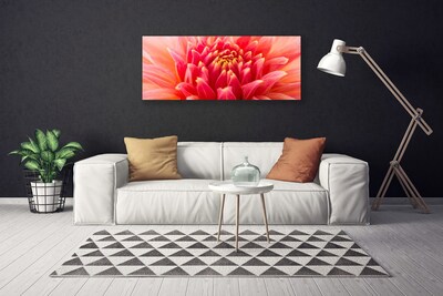 Tablou pe panza canvas Florale flori Orange