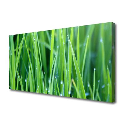 Tablou pe panza canvas Weed Natura verde