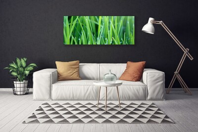 Tablou pe panza canvas Weed Natura verde