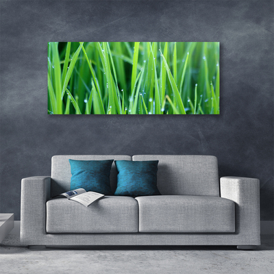 Tablou pe panza canvas Weed Natura verde