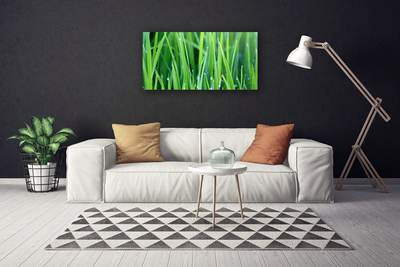 Tablou pe panza canvas Weed Natura verde