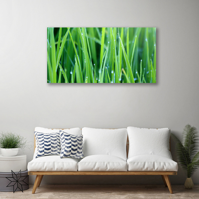 Tablou pe panza canvas Weed Natura verde