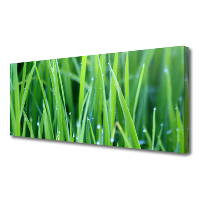 Tablou pe panza canvas Weed Natura verde