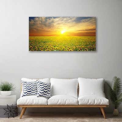 Tablou pe panza canvas Soare Meadow Floarea soarelui Natura Galben Maro Verde