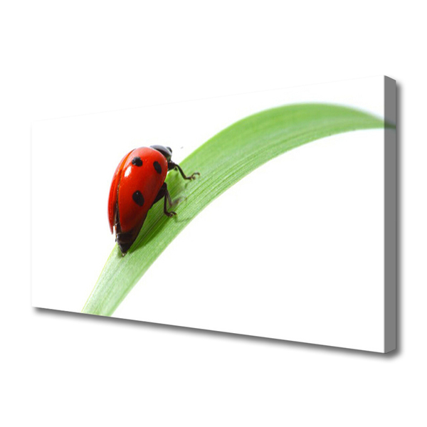 Tablou pe panza canvas Ladybird Beetle Natura Verde Roșu Negru