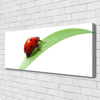 Tablou pe panza canvas Ladybird Beetle Natura Verde Roșu Negru