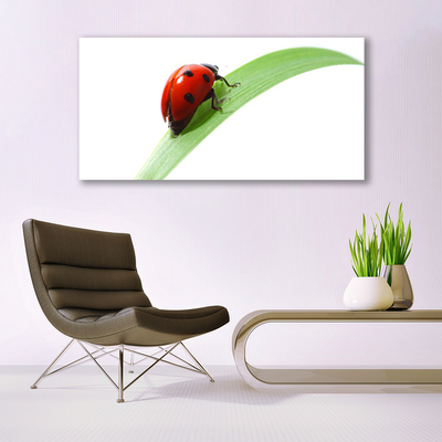 Tablou pe panza canvas Ladybird Beetle Natura Verde Roșu Negru