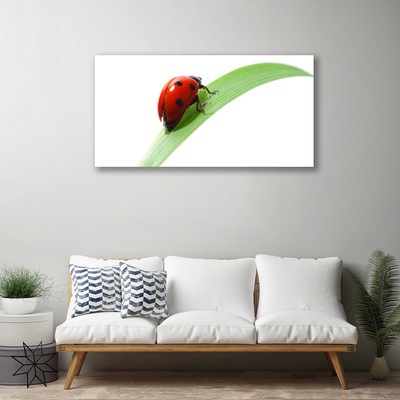 Tablou pe panza canvas Ladybird Beetle Natura Verde Roșu Negru