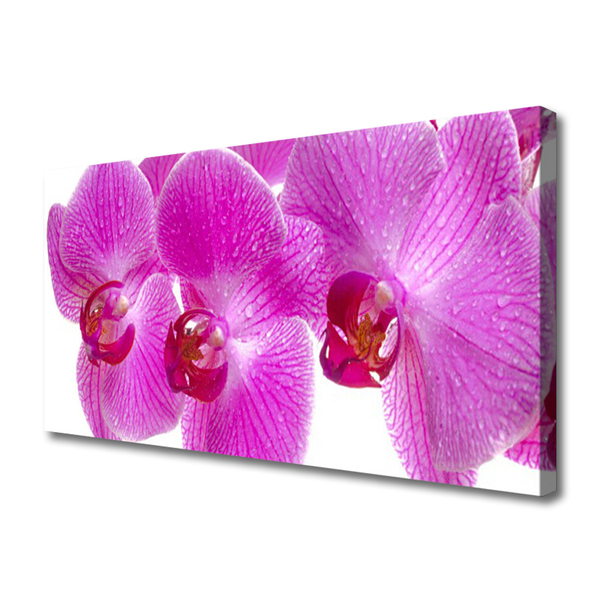 Tablou pe panza canvas Flori roz Floral