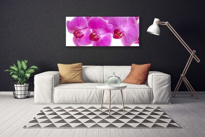 Tablou pe panza canvas Flori roz Floral