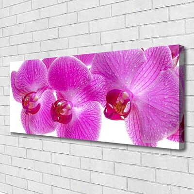 Tablou pe panza canvas Flori roz Floral