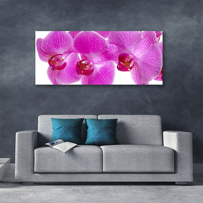 Tablou pe panza canvas Flori roz Floral