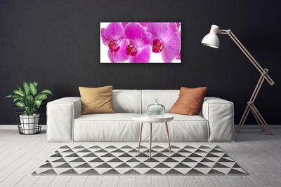 Tablou pe panza canvas Flori roz Floral