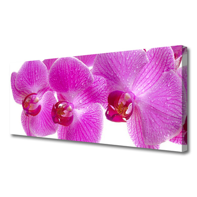 Tablou pe panza canvas Flori roz Floral