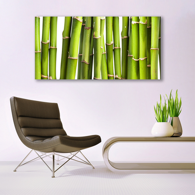 Tablou pe panza canvas Bamboo Canes Floral Verde