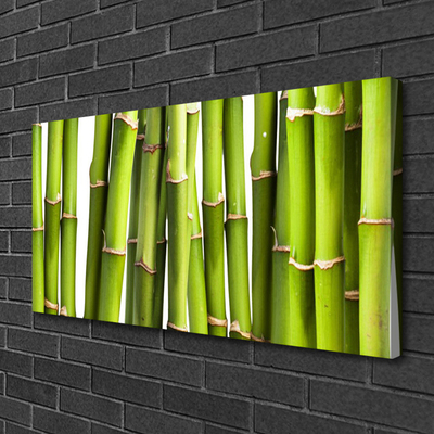 Tablou pe panza canvas Bamboo Canes Floral Verde