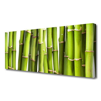 Tablou pe panza canvas Bamboo Canes Floral Verde