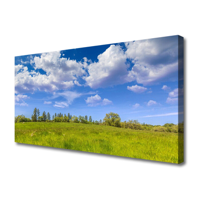 Tablou pe panza canvas Meadow Grass Peisaj verde