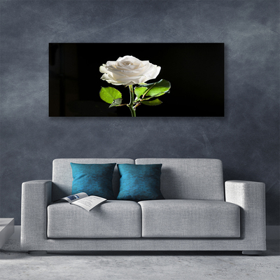 Tablou pe panza canvas Rose Floral alb