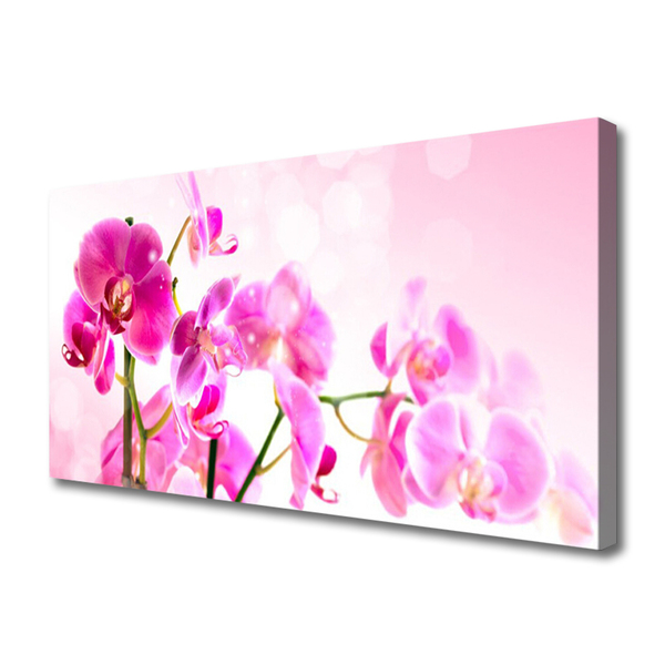 Tablou pe panza canvas Flori roz Floral