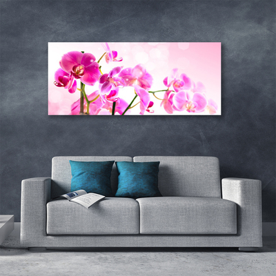 Tablou pe panza canvas Flori roz Floral