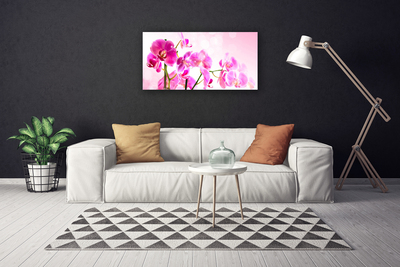 Tablou pe panza canvas Flori roz Floral