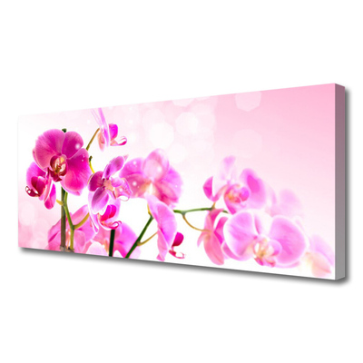 Tablou pe panza canvas Flori roz Floral