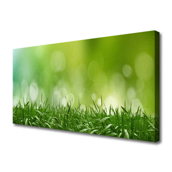 Tablou pe panza canvas Weed Natura verde