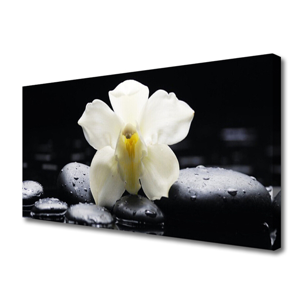 Tablou pe panza canvas Pietre florale flori alb negru