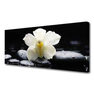 Tablou pe panza canvas Pietre florale flori alb negru