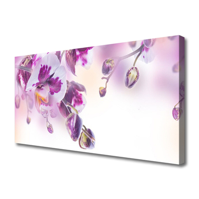 Tablou pe panza canvas Flori roz Floral