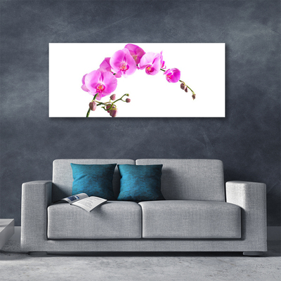 Tablou pe panza canvas Flori roz Floral