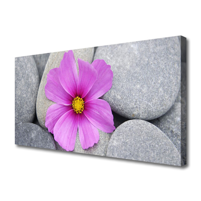 Tablou pe panza canvas Pietrele florale flori roz gri