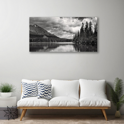 Tablou pe panza canvas Mountain Forest Lake Nature Gray