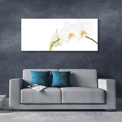 Tablou pe panza canvas Flori Floral alb