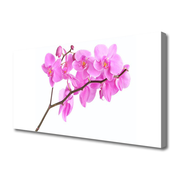 Tablou pe panza canvas Flori roz Floral