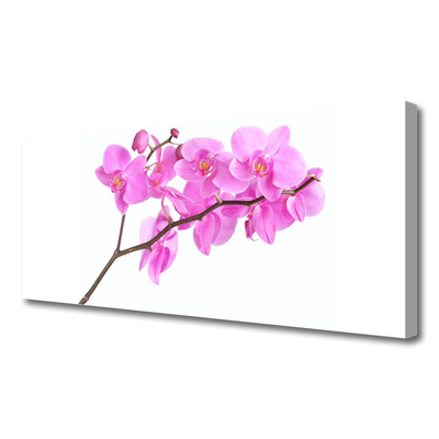 Tablou pe panza canvas Flori roz Floral