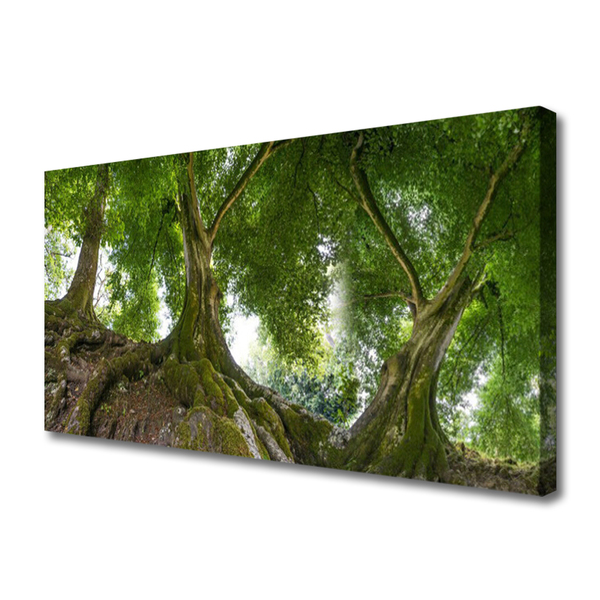 Tablou pe panza canvas Copaci Natura Brun Verde