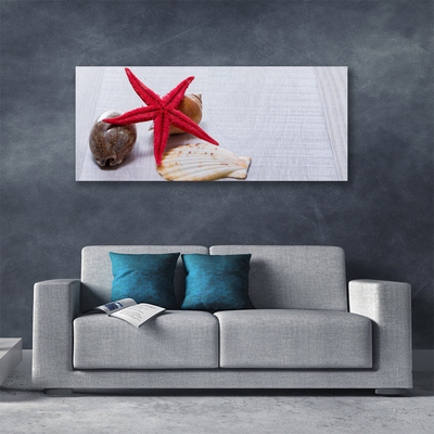 Tablou pe panza canvas Starfish Shell Art Roșu Bej Maro Gri