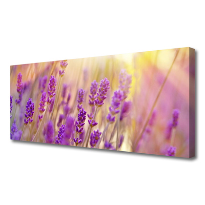 Tablou pe panza canvas Flori roz Floral