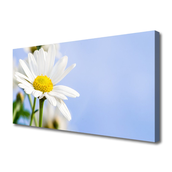 Tablou pe panza canvas Daisy Floral Galben Alb