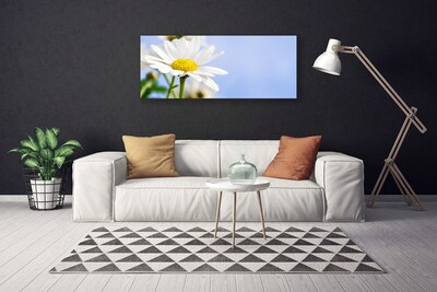 Tablou pe panza canvas Daisy Floral Galben Alb