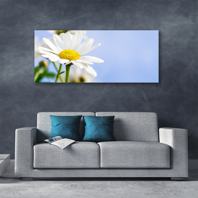 Tablou pe panza canvas Daisy Floral Galben Alb