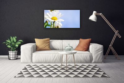 Tablou pe panza canvas Daisy Floral Galben Alb