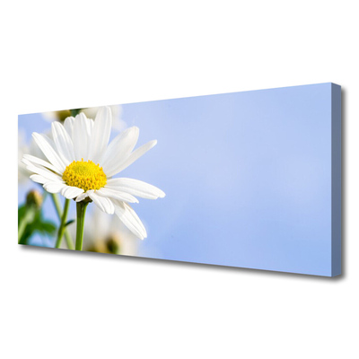 Tablou pe panza canvas Daisy Floral Galben Alb