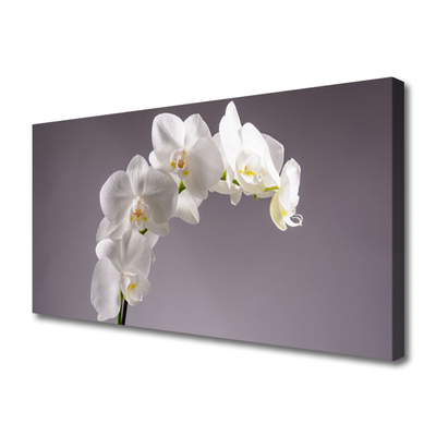 Tablou pe panza canvas Flori Floral alb