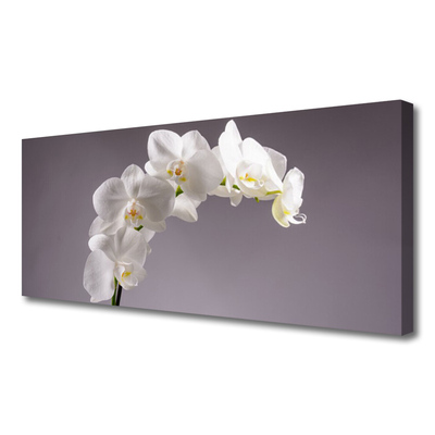 Tablou pe panza canvas Flori Floral alb