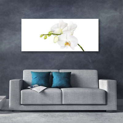 Tablou pe panza canvas Flori Floral alb