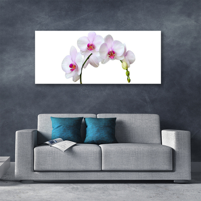 Tablou pe panza canvas Flori Floral Alb Roz