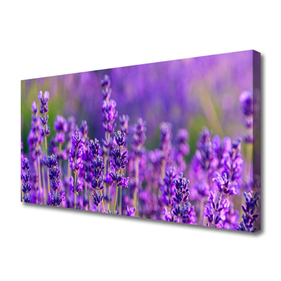 Tablou pe panza canvas Flori Floral violet